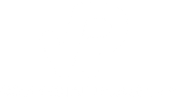 Comercializadora VP SpA